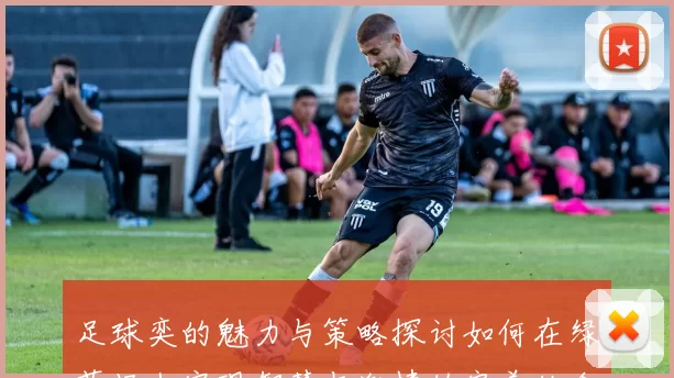 足球奕的魅力与策略探讨如何在绿茵场上实现智慧与激情的完美结合