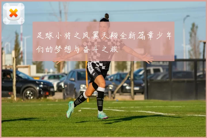足球小将之凤翼天翔全新篇章少年们的梦想与奋斗之旅