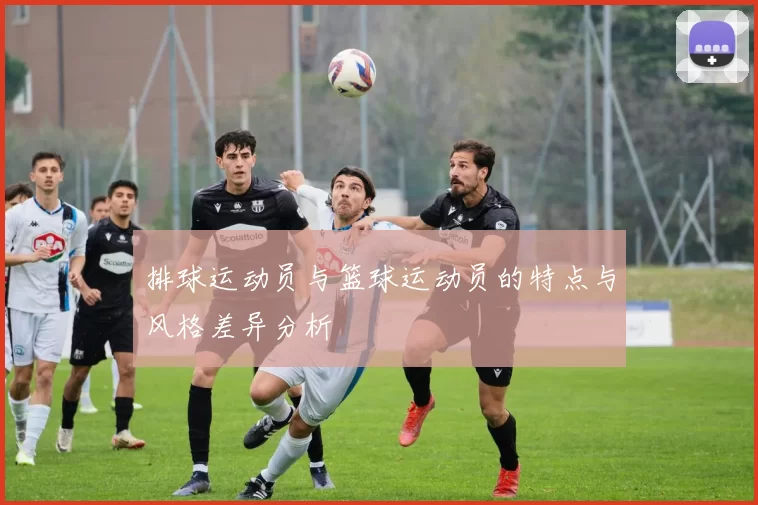 排球运动员与篮球运动员的特点与风格差异分析