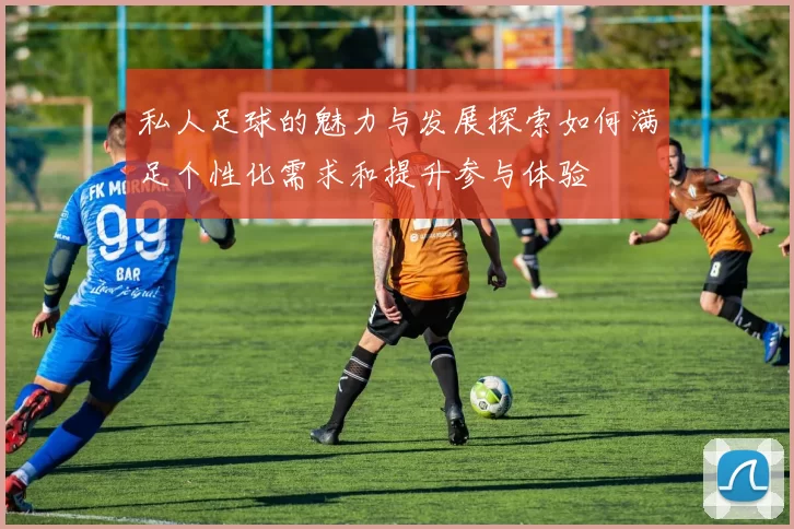 私人足球的魅力与发展探索如何满足个性化需求和提升参与体验