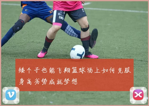 矮个子也能飞翔篮球场上如何克服身高劣势成就梦想