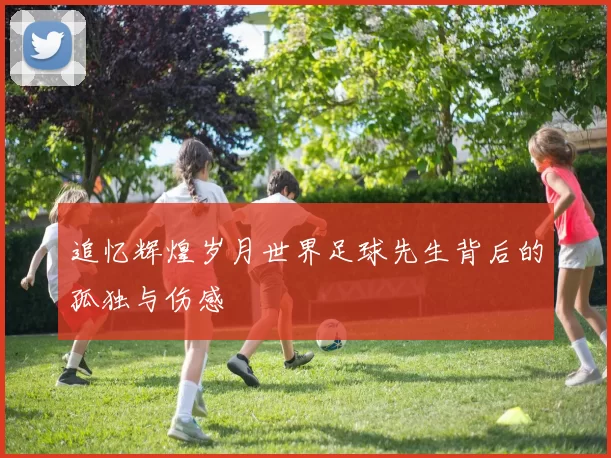 追忆辉煌岁月世界足球先生背后的孤独与伤感